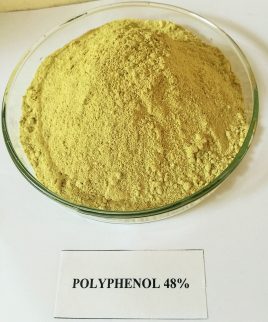 Polyphenol 48% - Phụ Gia Phân Bón Green Eco - Công Ty TNHH Sinh Thái Xanh Việt Nam
